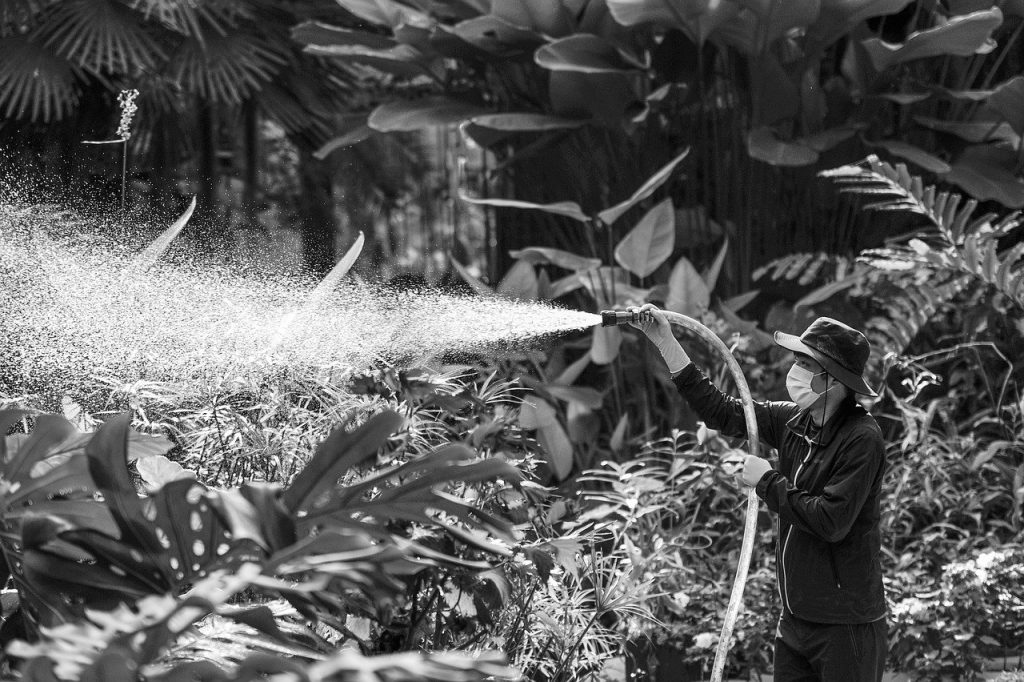 découvrez la beauté des jardins botaniques, où la nature s'épanouit à travers une diversité de plantes, d'arbres et de fleurs du monde entier. un lieu paisible pour se ressourcer, se promener et explorer les merveilles de la biodiversité.