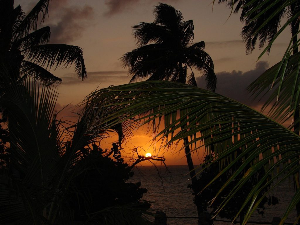 découvrez caribbean airlines, la compagnie aérienne qui vous connecte aux plus belles destinations des caraïbes. profitez de services de qualité, de confort à bord et d'une expérience de voyage inoubliable. réservez dès maintenant et explorez les merveilles des îles dans un cadre chaleureux et accueillant.