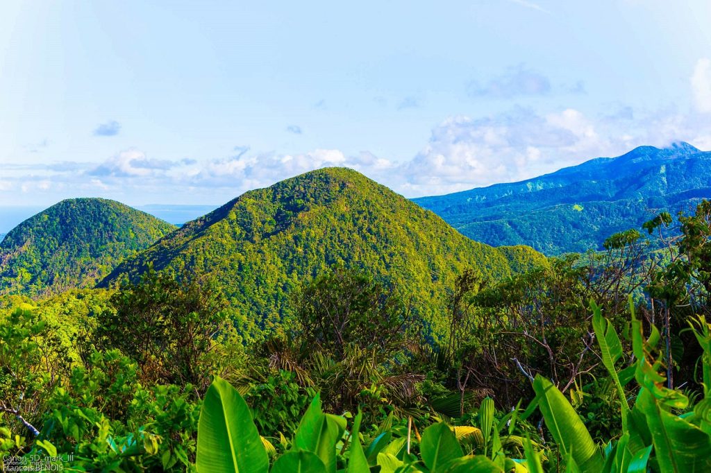 découvrez la beauté envoûtante de la guadeloupe, une destination paradisiaque aux plages de sable blanc, aux eaux turquoise et à la richesse culturelle unique. explorez ses paysages époustouflants, savourez une cuisine créole délicieuse et plongez dans des aventures inoubliables au cœur des caraïbes.
