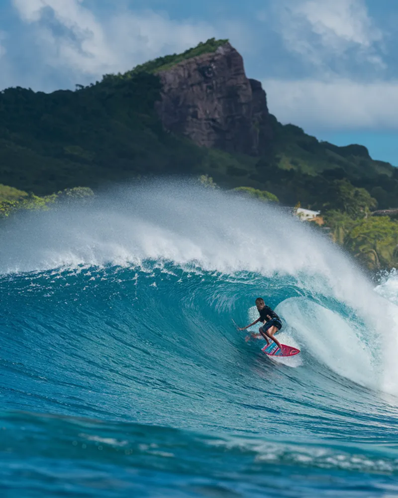 Les Plus Beaux Sites Naturels de Guadeloupe : Volcan, Cascades et Mangrove