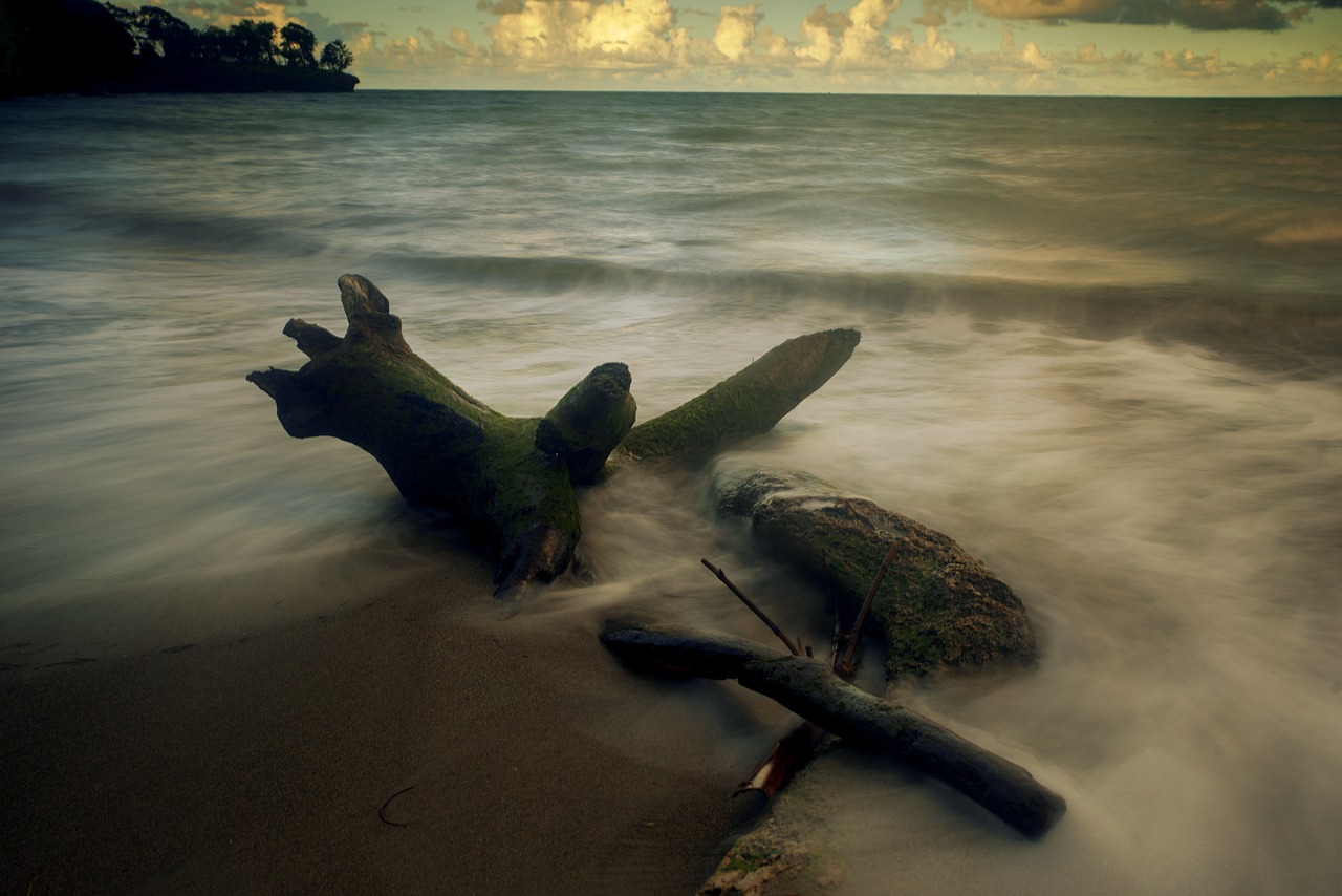 découvrez la beauté envoûtante de la guadeloupe, une île des caraïbes célèbre pour ses plages de sable blanc, sa culture riche et sa nature préservée. explorez des paysages époustouflants, savourez une cuisine créole délicieuse et profitez d'activités variées, de la randonnée aux sports nautiques, pour des vacances inoubliables.