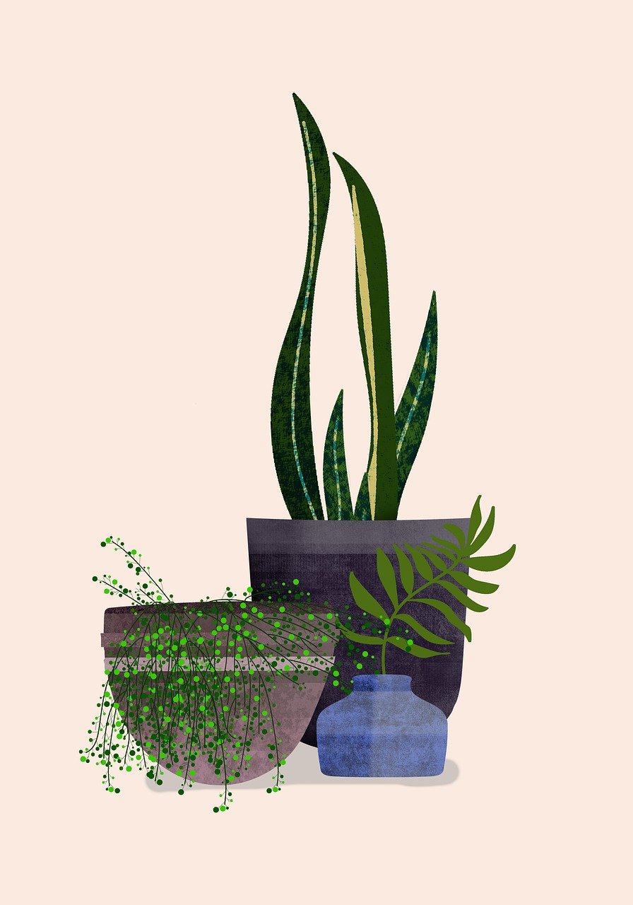 découvrez tout ce qu'il faut savoir sur le coût de la vie : des conseils pratiques pour gérer votre budget, des comparaisons entre les villes et des astuces pour économiser au quotidien.