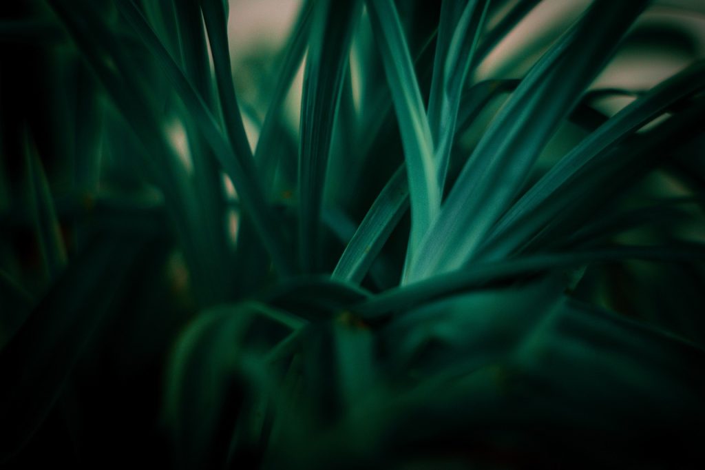 découvrez l'importance du développement durable : un équilibre entre croissance économique, protection de l'environnement et justice sociale pour un avenir meilleur. explorez des stratégies et des initiatives qui favorisent un monde plus durable.