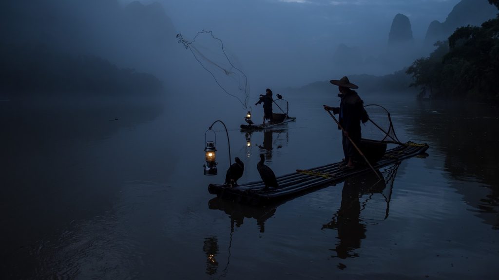 découvrez l'univers passionnant de la pêche : conseils, techniques, équipements et spots idéaux pour profiter pleinement de vos sorties en plein air. que vous soyez débutant ou expert, trouvez ici tout ce qu'il faut pour une expérience de pêche inoubliable.