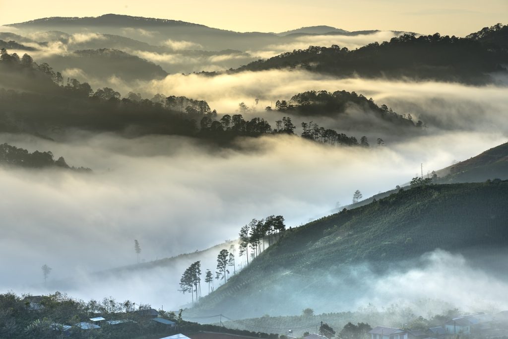 découvrez l'importance de l'environnement et comment nos actions quotidiennes peuvent influencer la planète. explorez des conseils pratiques pour un mode de vie durable et engagez-vous pour la préservation de notre écosystème.