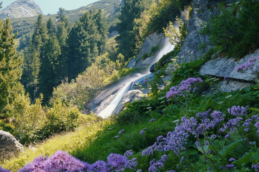 découvrez la beauté spectaculaire des chutes d'eau à couper le souffle. explorez des paysages enchanteurs, écoutez le bruit apaisant de l'eau et laissez-vous émerveiller par la nature. parfait pour les amoureux de l'aventure et les passionnés de photographie, plongez dans un univers où la force de l'eau crée des tableaux naturels uniques.