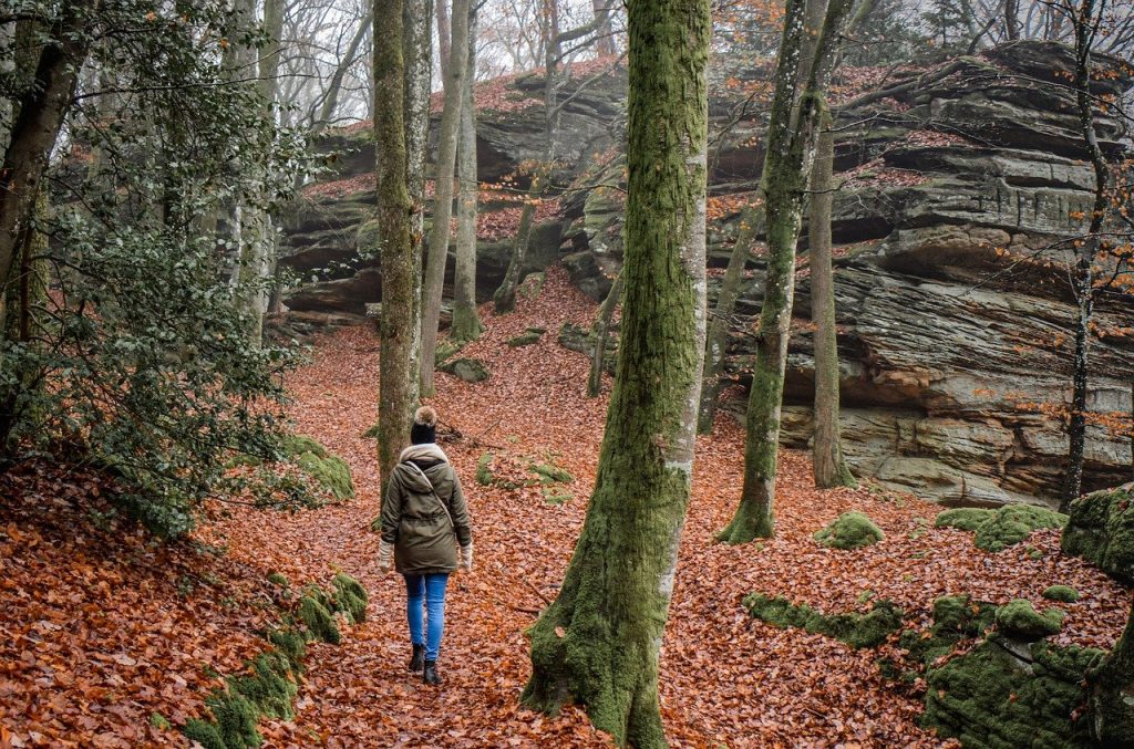découvrez les meilleurs sentiers de randonnée à travers la france. que vous soyez amateur de balades en pleine nature ou randonneur expérimenté, explorez des paysages époustouflants, des panoramas à couper le souffle et vivez des aventures inoubliables lors de vos hiking.