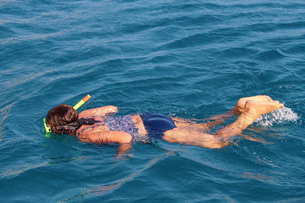 découvrez les merveilles sous-marines avec le snorkeling ! explorez les récifs coralliens colorés et rencontrez une faune marine exceptionnelle lors d'une expérience inoubliable. parfait pour les novices et les passionnés de la mer.